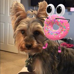 Meet your Posher, Chandra